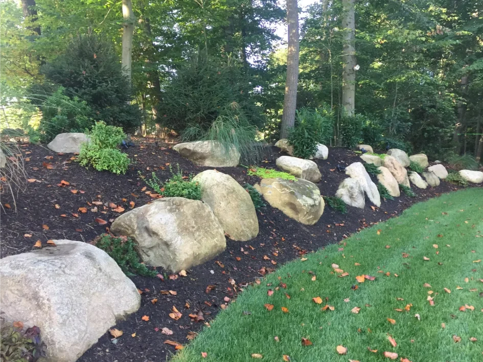 Backyard landscape lighting