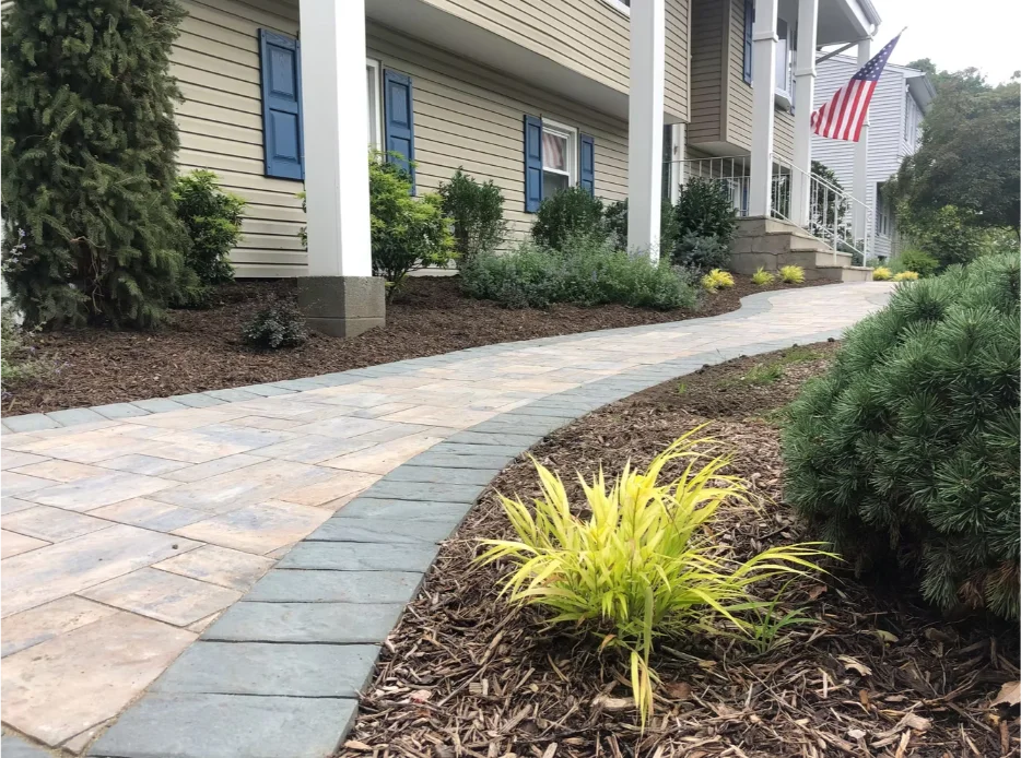 Curving flagstone walkway though lush planting