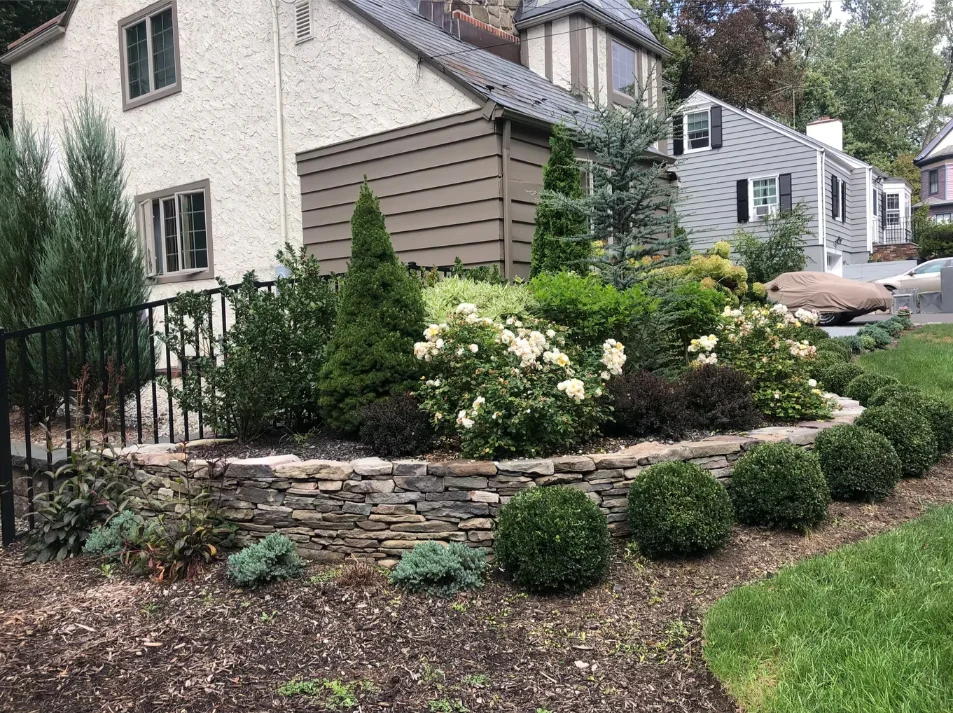 Residential front yard landscaping