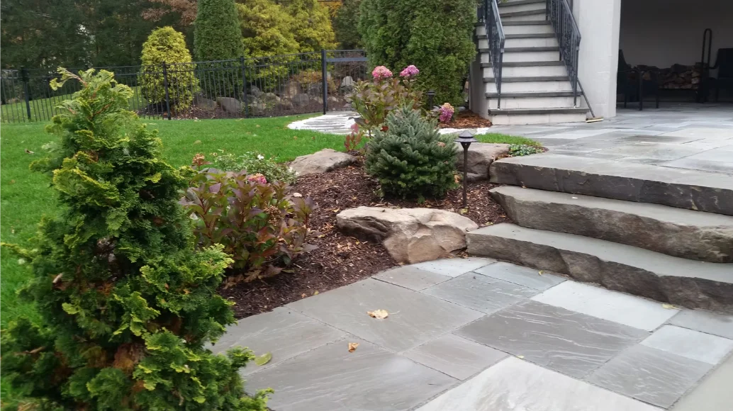 Ornamental garden trees