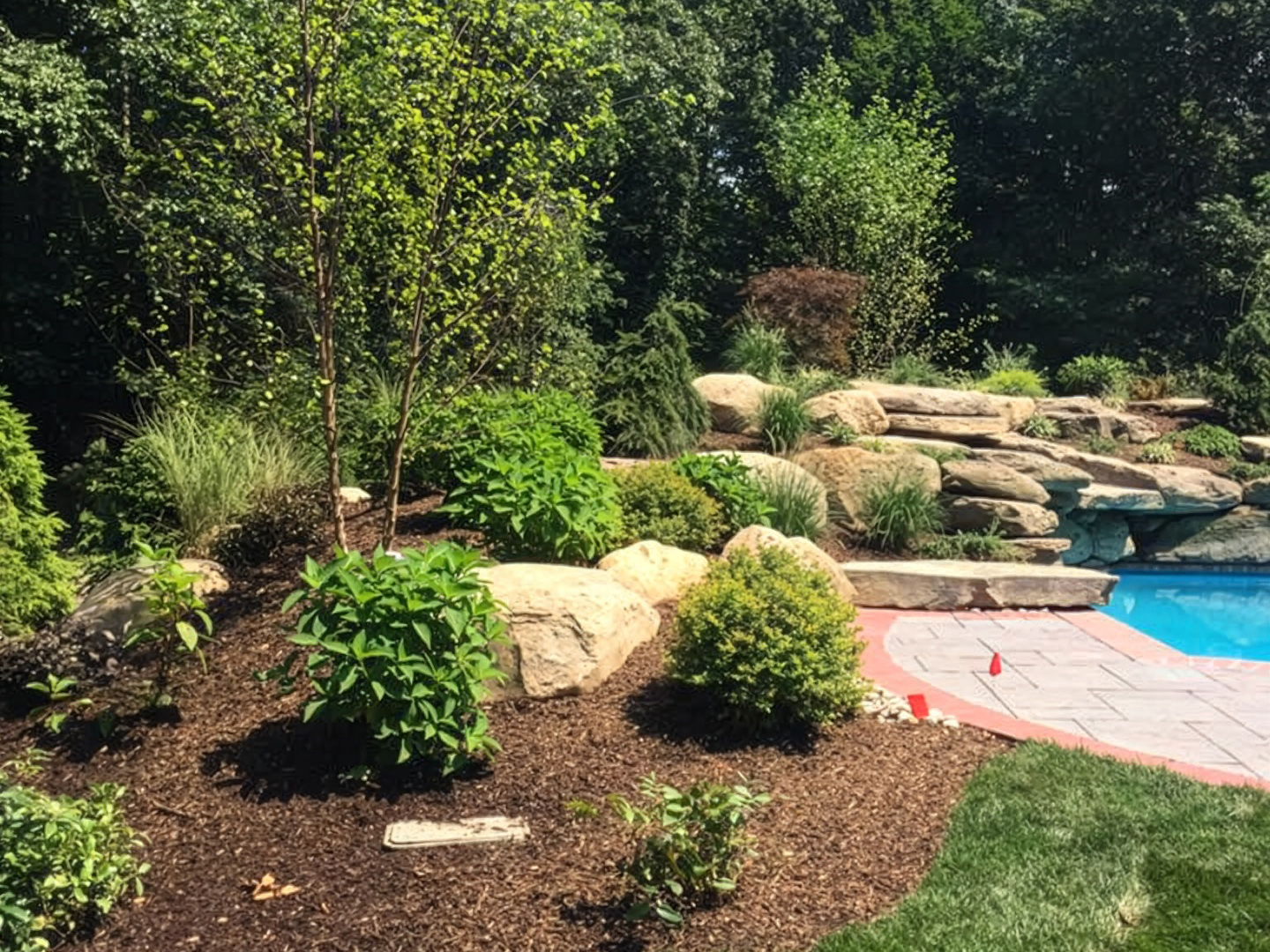 Planting and Transplanting