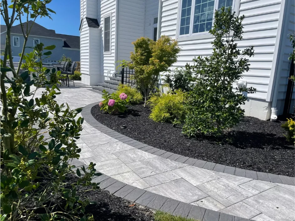 Shrubs and flower garden